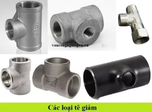 Các loại tê giảm
