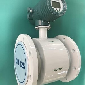 Đồng hồ đo nước điện tử DN250