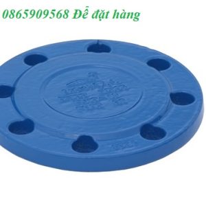 Mặt Bích Mù Gang