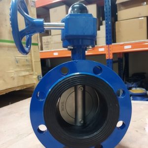 Van bướm 2 mặt bích