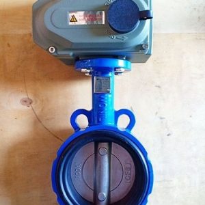Van Bướm Bột Điều Khiển Điện