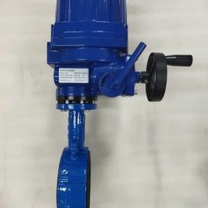 Van bướm điều khiển motor điện