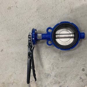 Van bướm là gì?
