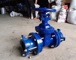 Van Cổng Mặt Bích Nhập Khẩu