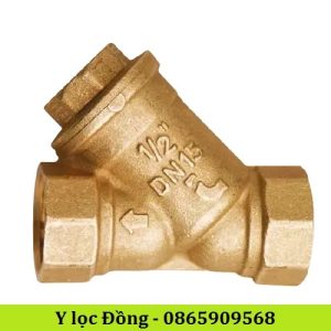 Y lọc Đồng