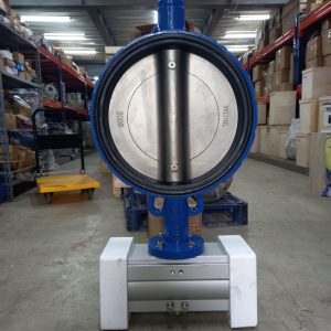 Van bướm gang wonil hàn quốc DN300 điều khiển khí nén haitima đài laon