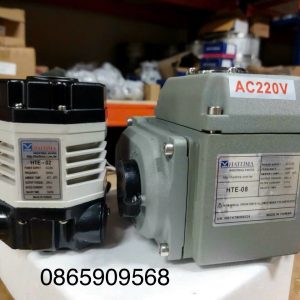 Động cơ điều khiển điện Đài Loan